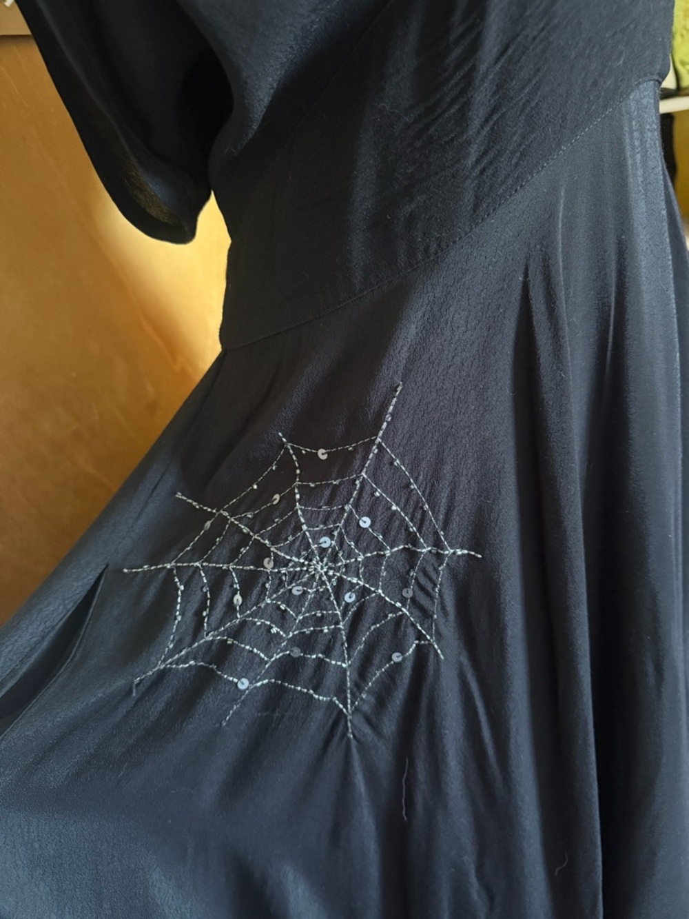 Trashy Diva Black “Charlottes Web” Maxi Dress with Spiderweb Accents - Picture 5 of 8